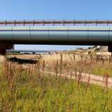 Ma siamo ora arrivati al ponte di via Respighi: � da queste parti che il 27 luglio del 1968 fu scoperto lo scheletro di una balenoptera, un animale preistorico che viveva 1,7 milioni di anni fa nel Mar Mediterraneo ed oggi conservato nel museo del Campus